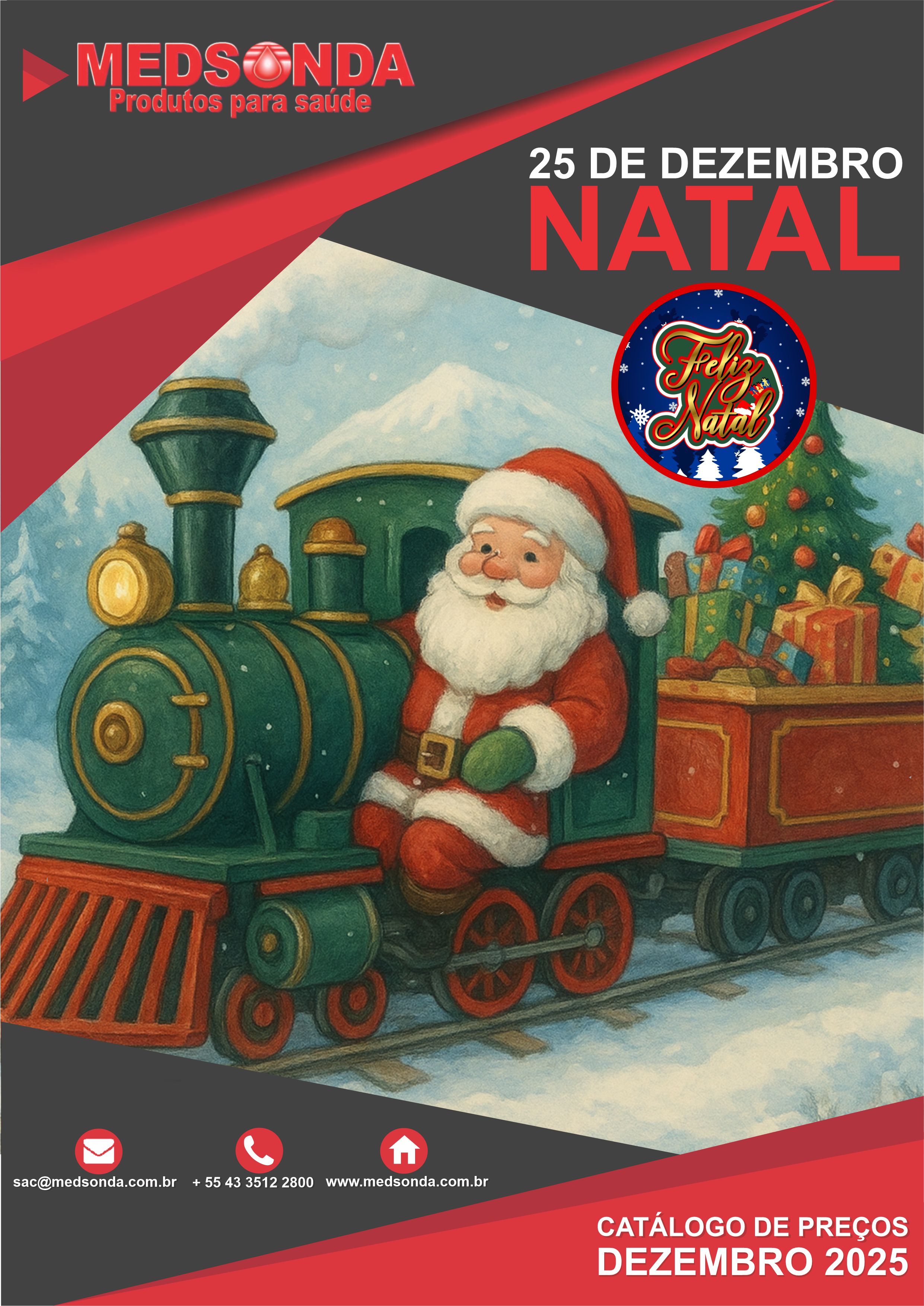 catalogomedsondadezembronormal